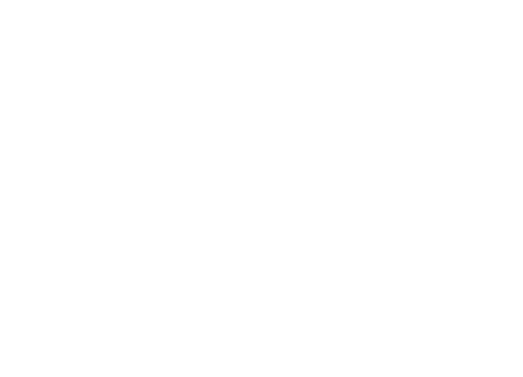 Wizz_Logo_PS_white-01