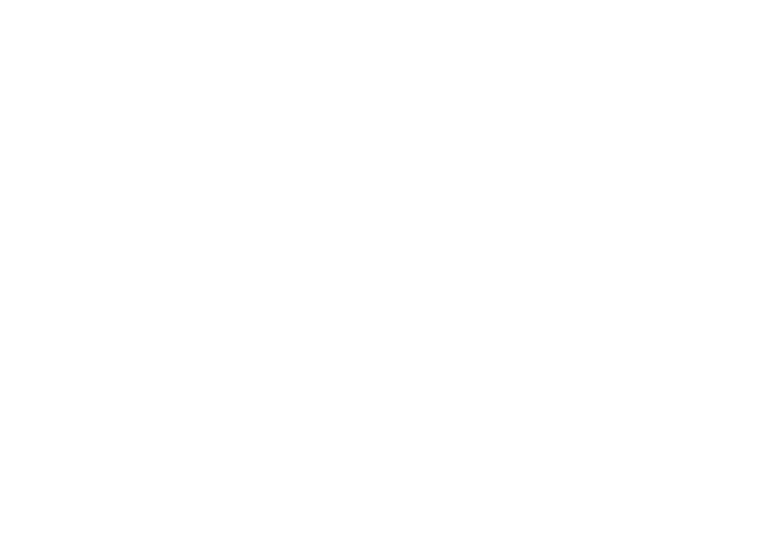 Wizz_Logo_PS_white-01